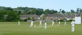 Image result for Croesyceiliog Cricket Club