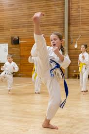 Image result for Sudbury Shotokan Karate Club kugb