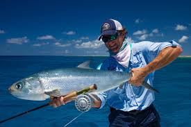 Image result for Chanos chanos