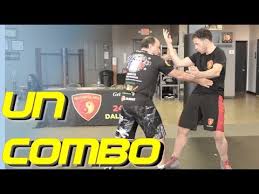 Image result for Dallo Martial Arts