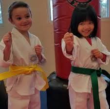 Image result for Everitt Karate Academy