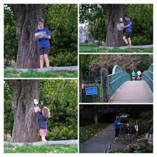 Image result for West Cumberland Orienteering Club