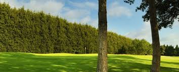 Image result for Sutton Green Golf Club
