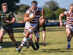 Image result for Southend Rugby Football Club Ltd