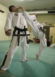 Image result for Surrey Taekwondo