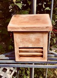 Image result for ladybug house