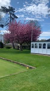 Image result for Compton Croquet Club