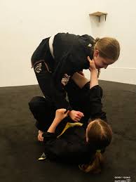 Image result for Derwent Valley Ju-Jitsu Academy