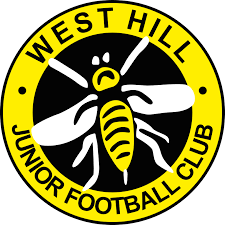 Image result for Wasps Football Club
