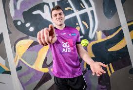 Image result for Clarehurlers