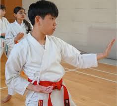 Image result for Broadwell Karate Club