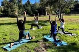 Image result for Yoga Classes