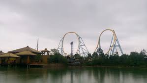 Image result for TRIANGLE CHANGQUAN FLYING DRAGON