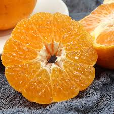 Image result for 水野X68仁義