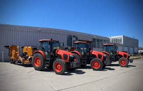 Image result for brilsnoer