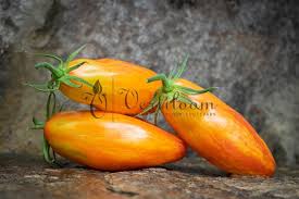 Afbeeldingsresultaat voor oranje van goeienbier tomato