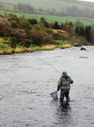 Image result for Dulverton Angling Association