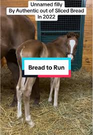 Resultado de imagen para sliced horse