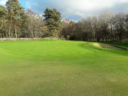 Image result for Blairbeth Golf Club