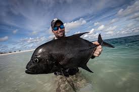 Image result for Caranx lugubris