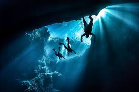 Image result for Plymouth Aquanauts