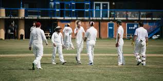 Image result for Old Dorkinian Cricket Club