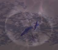 Image result for ALBION SEA FISHING CLUB