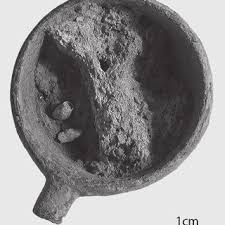 Attēlu rezultāti vaicājumam “Licea testudinacea spores”