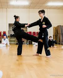 Image result for Bytomic Taekwondo