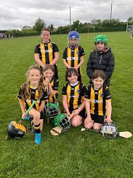 Image result for St Peter`s Gaa
