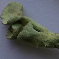 Attēlu rezultāti vaicājumam “Cladonia deformis”