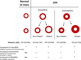 Image result for  ^ L V [ h    