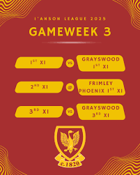 Image result for Frimley Cricket Club