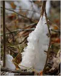 Attēlu rezultāti vaicājumam “Frost Flowers”