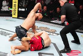 Image result for Silva L1 MidNite