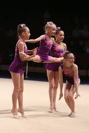 Image result for Wolverhampton Gymnastics Club