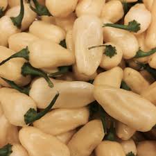 Afbeeldingsresultaat voor white habanero hot pepper