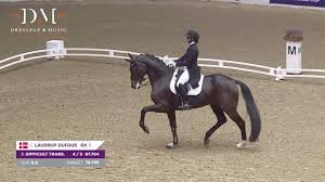 Image result for Interfreestyle Sport Karate