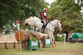 Image result for Chiddingfold Branch Of The Pony Club