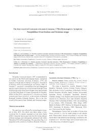 Attēlu rezultāti vaicājumam “Caenolyda reticulata”