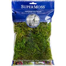 Attēlu rezultāti vaicājumam “moss”