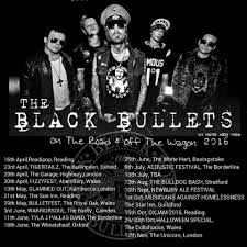 Image result for Basingstoke Bullets