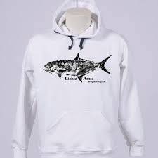 Image result for Lichia amia