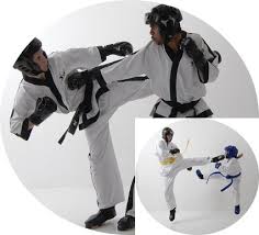 Image result for Bytomic Taekwondo Chalfonts