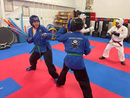 Image result for Skillz Martial Arts