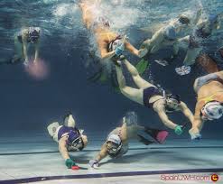 Image result for Tewkesbury and Cheltenham Underwater Hockey Club