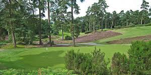 Image result for Puttenham Golf Club