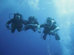 Image result for University Of London Sub-Aqua Club