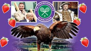 Image result for Wimbledon Hawks