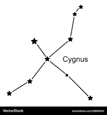 Attēlu rezultāti vaicājumam “Cygnus”